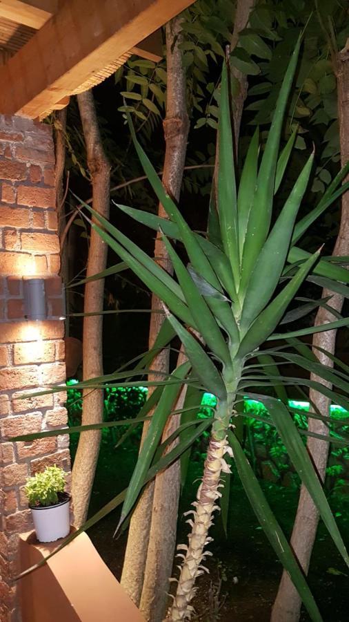 Vila Thailanda in Katakolo Pyrgos  Bagian luar foto